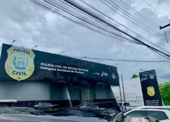 Operação “Figurinha Repetida”: Polícia Civil monitora criminosos reincidentes e registra 145 procedimentos em Floriano