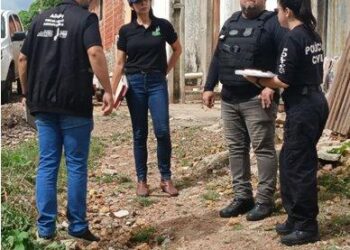 Abatedouro clandestino de frangos é descoberto na zona Sul de Teresina