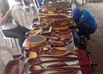 Feira Estadual da Agricultura Familiar é encerrada com sucesso em José de Freitas e reforça importância do homem do campo