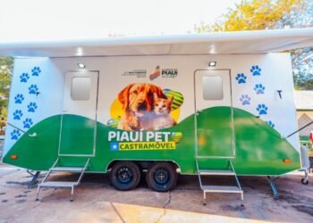 Castramóvel oferece castração gratuita para cães e gatos até sexta-feira (29) no bairro Saci, Zona Sul de Teresina