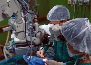 Estudo aponta maior risco de morte após cirurgia cardíaca em pacientes com doença de Chagas