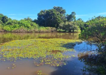 Pescador morre afogado durante pescaria na zona rural de José de Freitas
