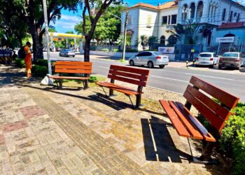 SDU Centro entrega revitalização do canteiro central da Avenida Frei Serafim