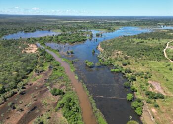 Semarh inicia desobstrução do Rio Gurguéia para recuperar capacidade hídrica e reduzir impactos do assoreamento