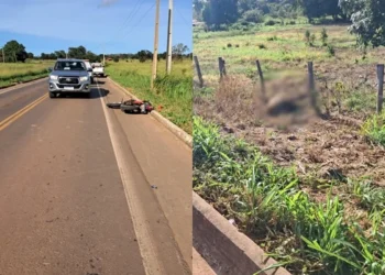 Polícia Civil indicia dono de cavalo por morte de motociclista em acidente na PI-392