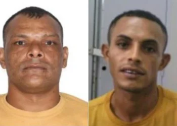 DHPP prende dois suspeitos de atrair homem para emboscada e matá-lo durante caçada em Curralinhos