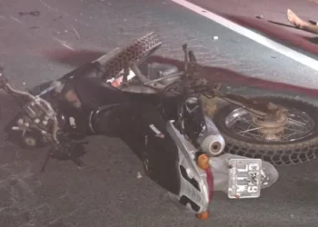 Motociclista morre após colidir com vaca na BR-135, no Sul do Piauí