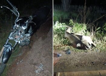 Acidente na PI-211: Motociclista colide com vaca na zona rural de Esperantina