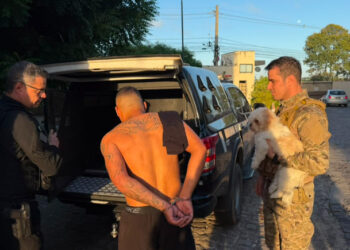 Suspeito de integrar facção com histórico de homicídio, tráfico e violência doméstica é preso em Teresina
