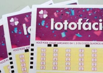 Lotofácil: seis apostas do Piauí acertam 14 dezenas e faturam prêmio; veja cidades