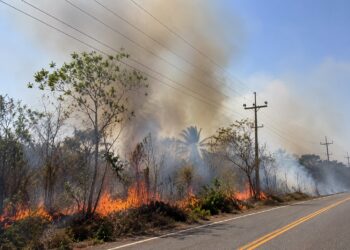 Piauí já registrou mais de 200 ocorrências por falta de energia provocada por queimadas neste ano