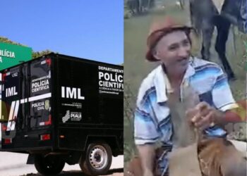Vaqueiro morre após cair de cavalo e bater a cabeça em pedra na zona rural de Batalha