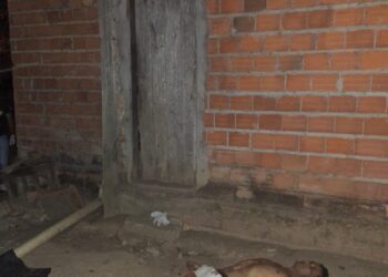Homem é morto a tiros na cidade de Palmeirais, no Piauí