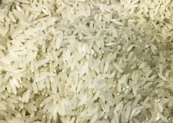 Terremoto: Brasil doará 10 toneladas de arroz à Colômbia