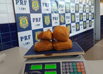 Homem é preso na BR-230 transportando 2 kg de cocaína em ônibus no Piauí