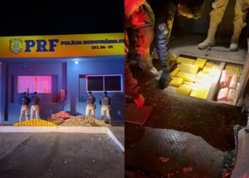 PRF apreende 273,5 kg de drogas escondidos em carreta na BR-407, em Picos; motorista diz que receberia R$ 10 mil pelo transporte