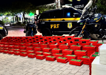 PRF apreende 490 kg de cocaína escondidos em caminhão na BR-135, no Sul do Piauí