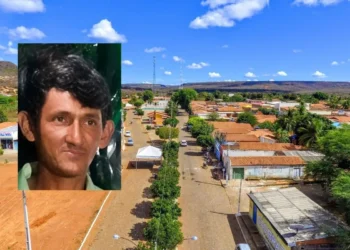 Homem morre após tocar em estrutura elétrica usada para proteger criação de porcos no Piauí