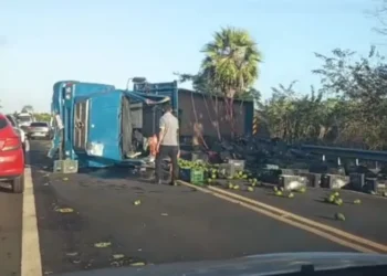 Caminhão carregado de abacates tomba e interdita trecho da BR-343 entre Altos e Campo Maior