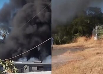 Incêndio atinge garagem de ônibus e área de vegetação em Picos, no Piauí