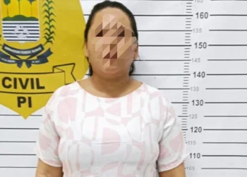Mulher é presa em Parnaíba suspeita de integrar organização criminosa e atuar no tráfico de drogas