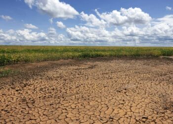 Piauí decreta situação de emergência por seca em 117 municípios; veja lista