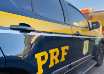 Lanterna queimada faz PRF localizar 475 kg de cocaína escondidos em caminhão no Piauí
