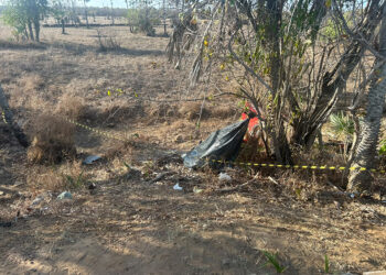 Motociclista de 25 anos morre após perder controle de moto e bater em carnaúba no Piauí