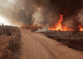 Semarh restringe uso do fogo em 12 municípios do Piauí por risco de incêndios