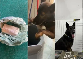 Mulher é presa após esconder drogas em máquina de lavar ligada em Parnaíba