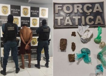 Suspeito é detido com porções de maconha após tentar fugir da PM em Esperantina