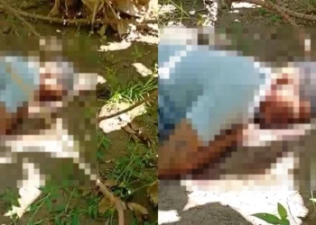Homem é encontrado morto em plantação de bananeiras na Zona Leste de Teresina