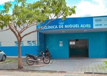 Criança de 6 anos morre após disparo acidental de espingarda em casa de tia no Piauí