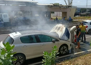 Carro pega fogo na BR-316 e fica parcialmente destruído na Zona Sul de Teresina