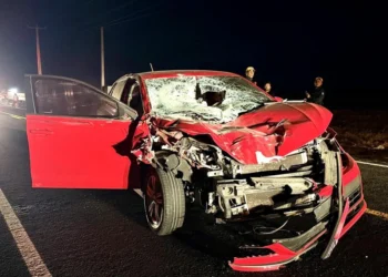 Dois vaqueiros ficam feridos após carro atingir cavalos na PI-236, em Hugo Napoleão