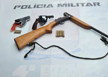 PM apreende três armas de fogo após denúncia de disparo na zona rural de Pio IX