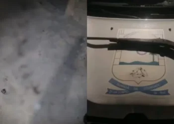 Mulher é morta a tiros na zona rural de União; companheiro confessa crime e é preso