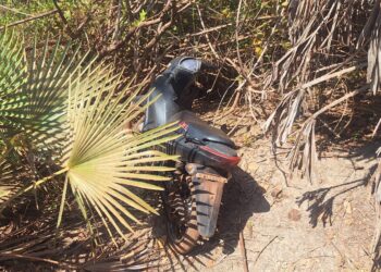 Motocicleta roubada é encontrada escondida em vegetação às margens da PI-112, em José de Freitas
