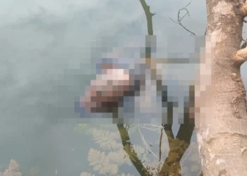 Corpo de homem é encontrado boiando em barragem no interior do Piauí