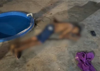 Jovem de 23 anos é morto a tiros em residência na zona Sudeste de Teresina