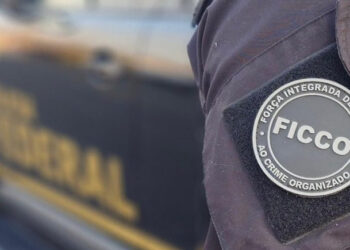 PF atua no combate ao contrabando e a grupo criminoso no Piauí