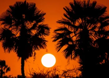 Piauí registra 41,8°C e lidera ranking de maiores temperaturas do Brasil pelo 2º dia consecutivo